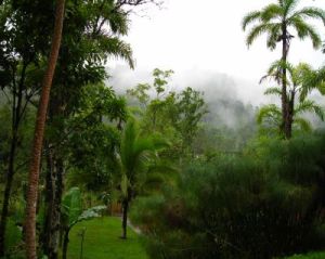 Planet Costa Rica Planet Costa Rica