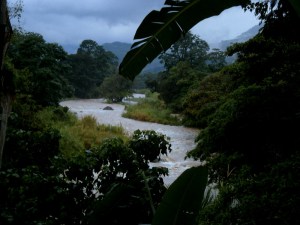 Rio Pejivalle Rio Pejivalle