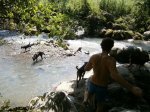 Phillip with the dogs at the river