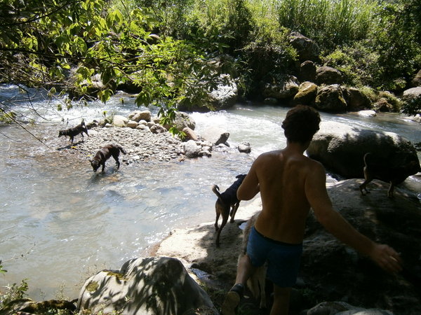 Phillip with the dogs at the river